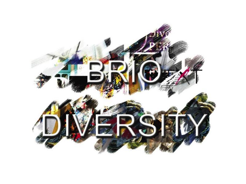 L’ispirazione di Brio Diversity!
