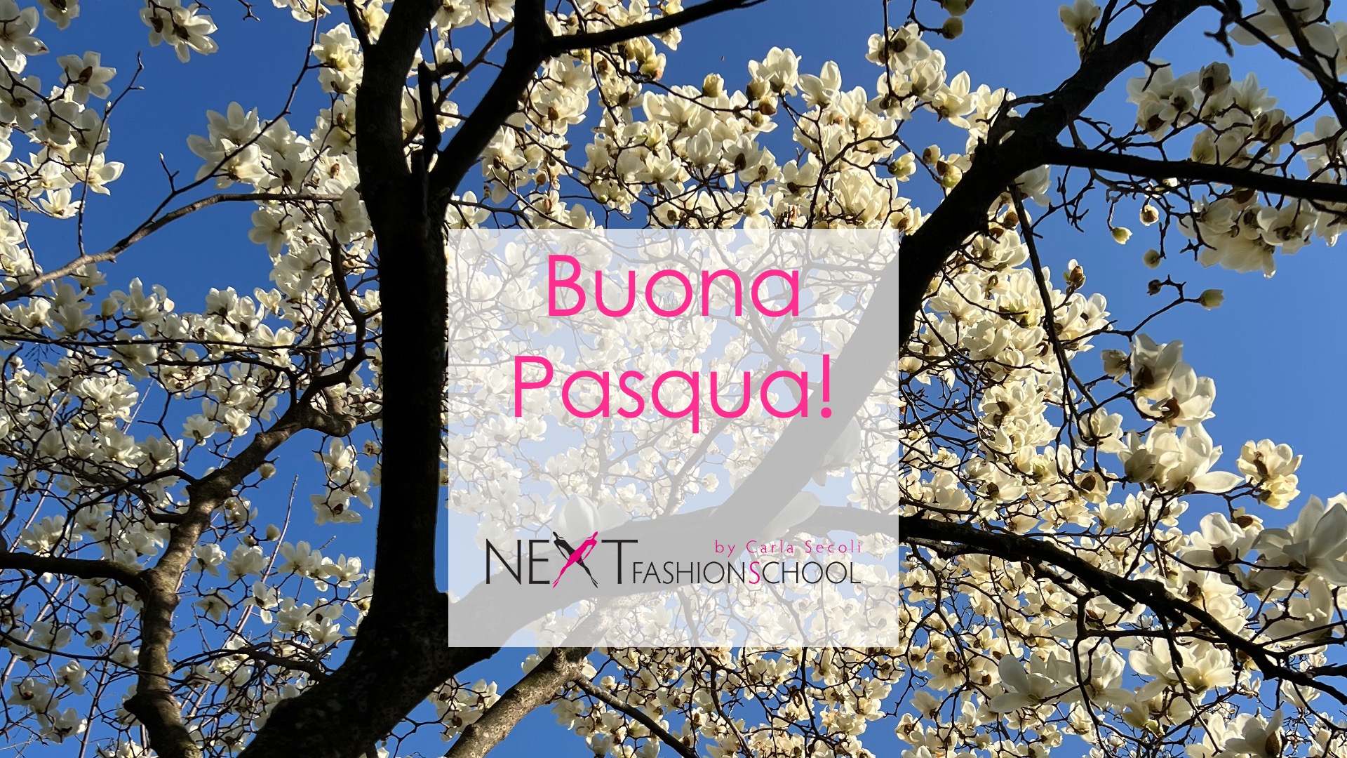 Buona Pasqua da Next Fashion School!